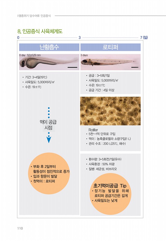 100페이지