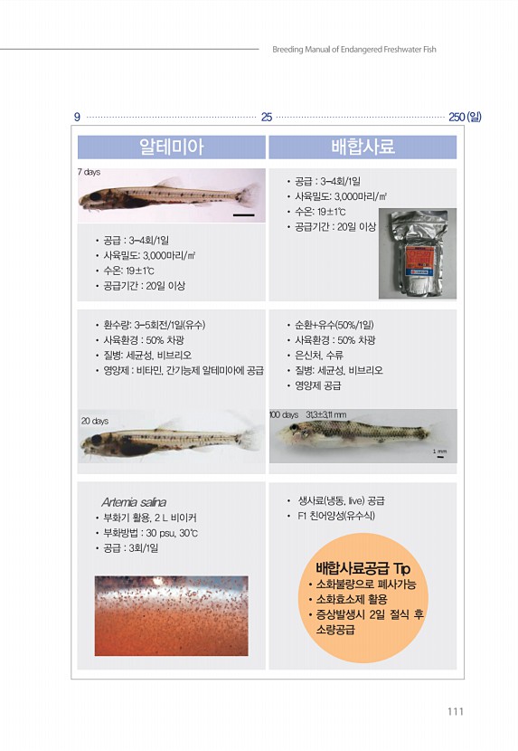 101페이지