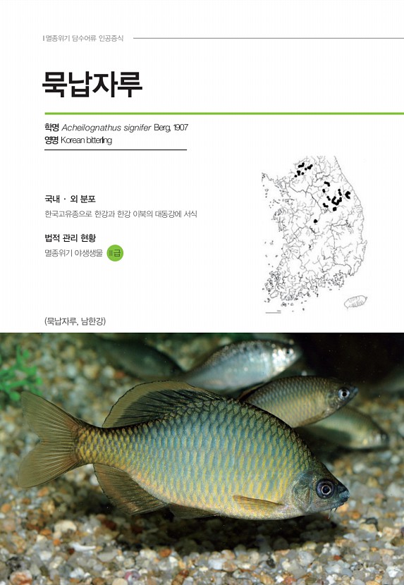 102페이지