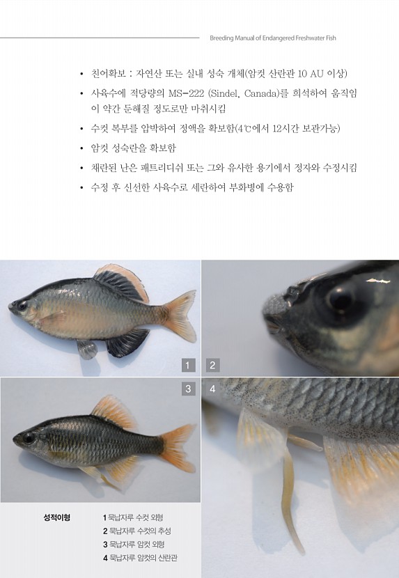 109페이지