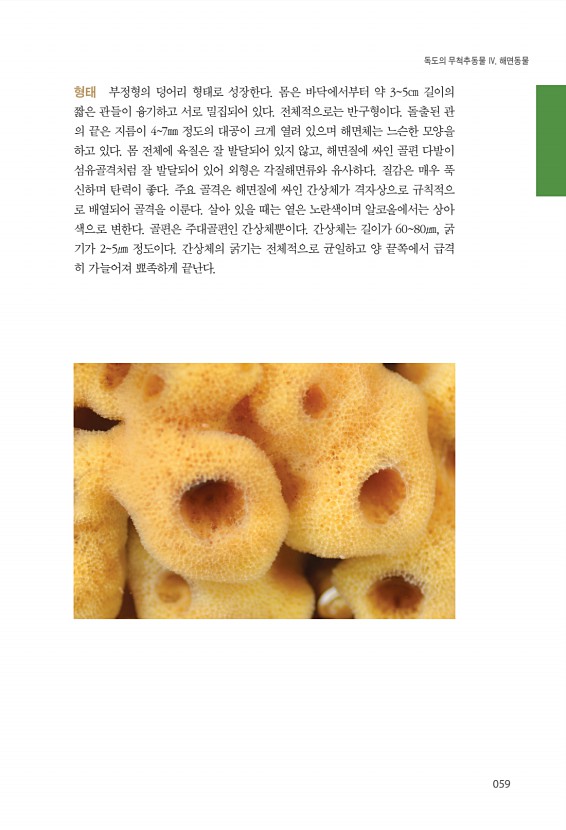 59페이지