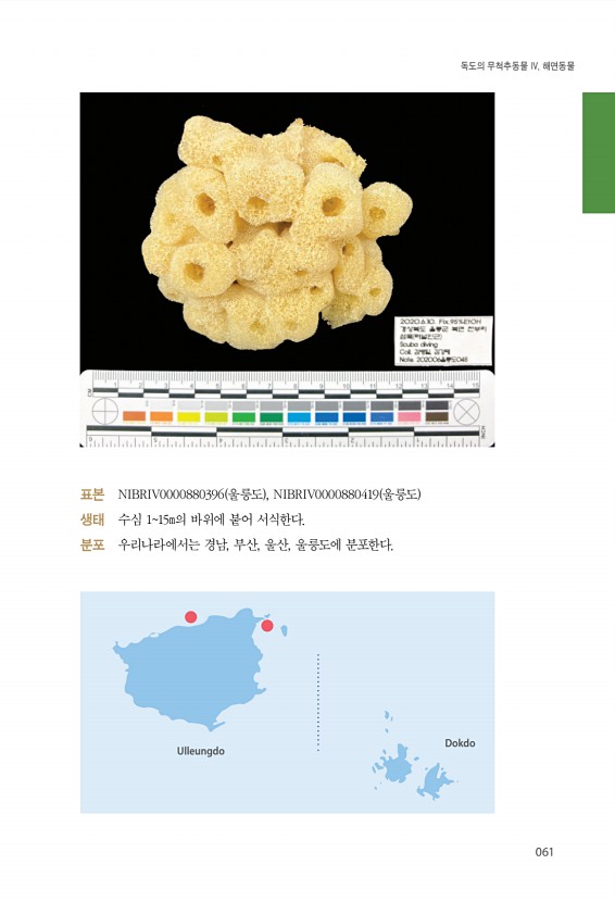 61페이지
