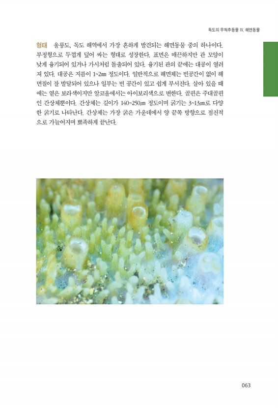 63페이지