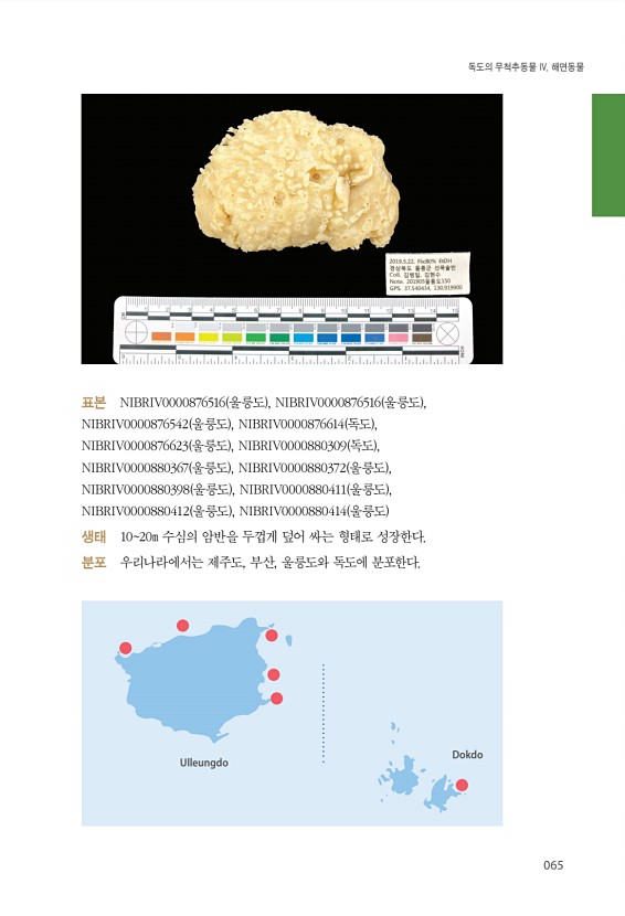 65페이지