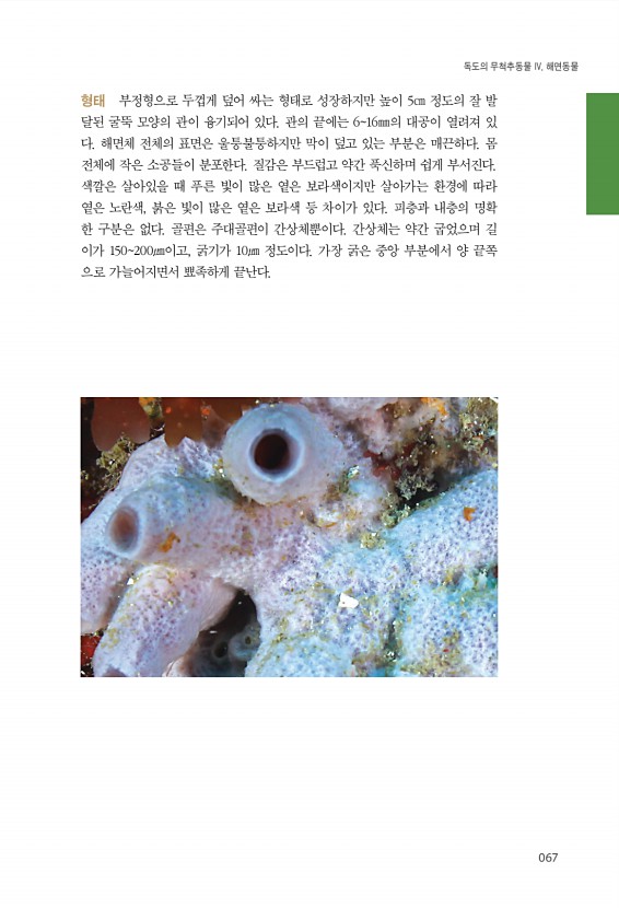 67페이지