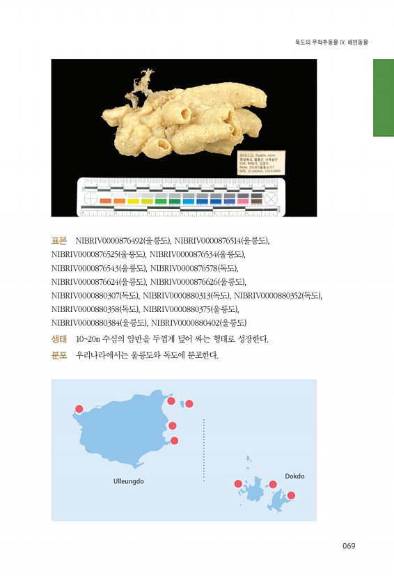 69페이지