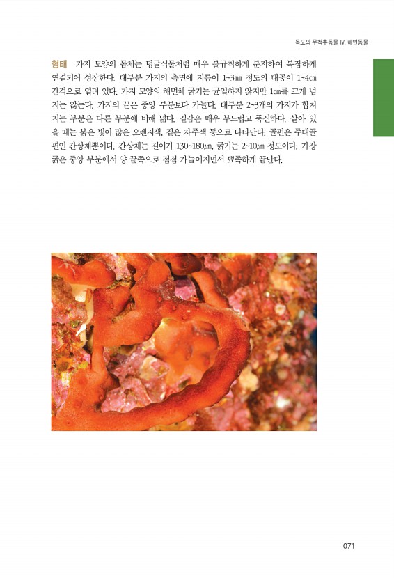 71페이지