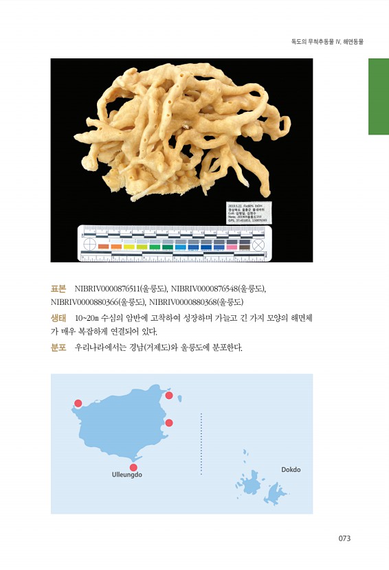 73페이지