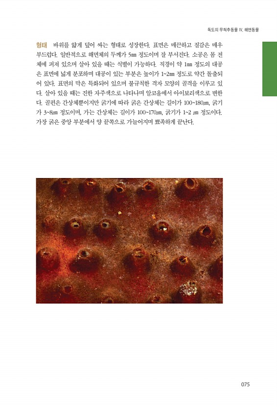 75페이지