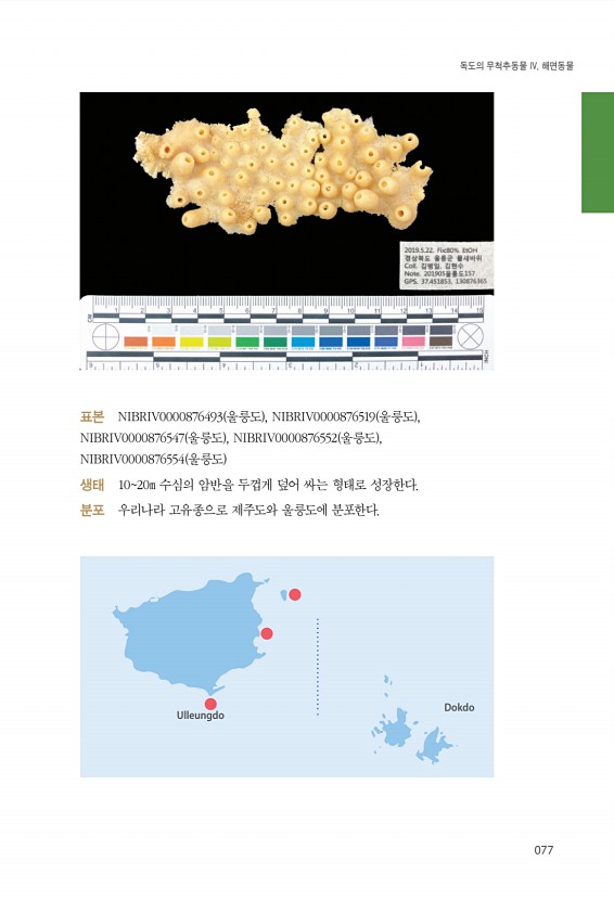 77페이지