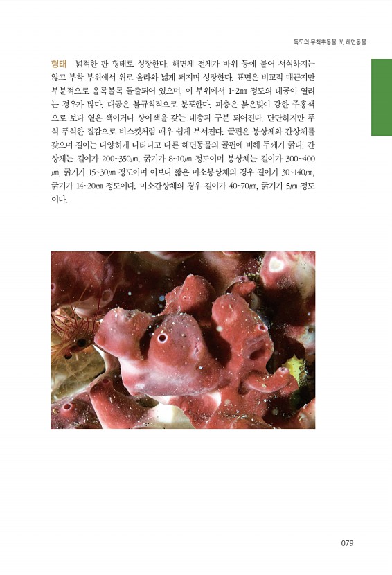 79페이지