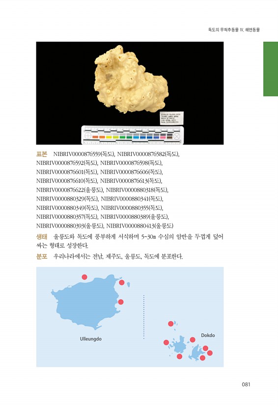 81페이지