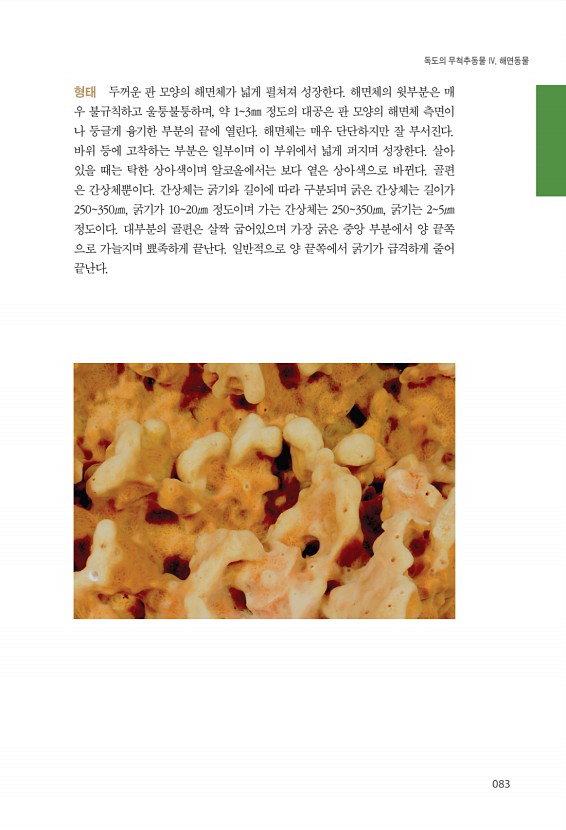 83페이지