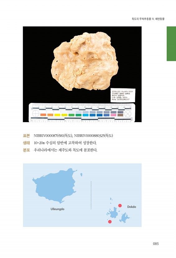85페이지