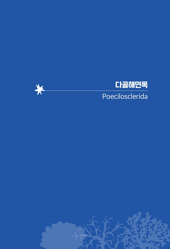 87페이지