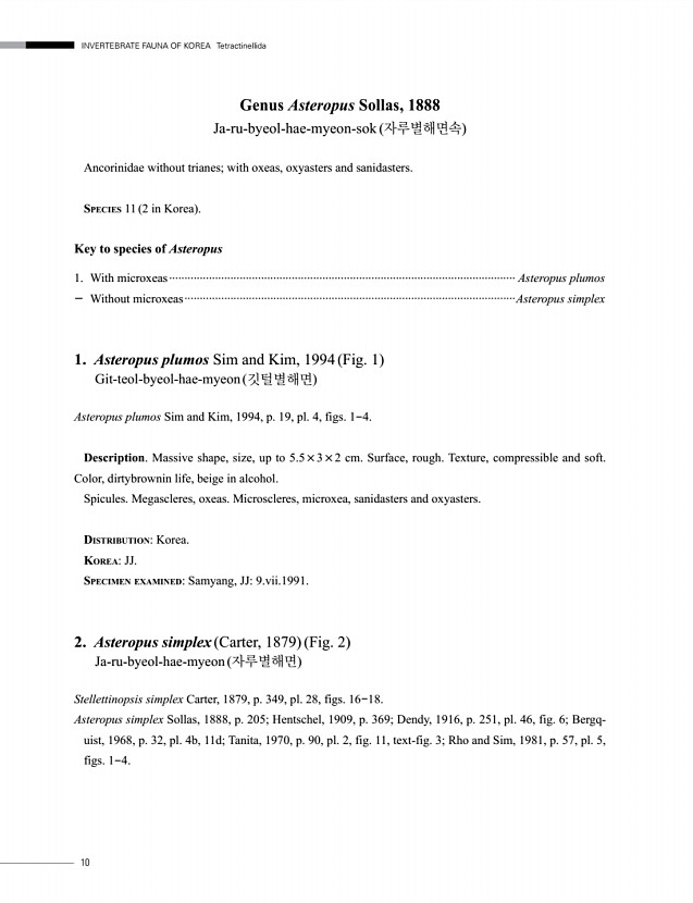 10페이지