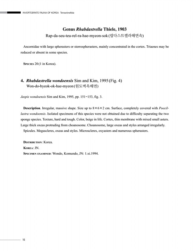 16페이지