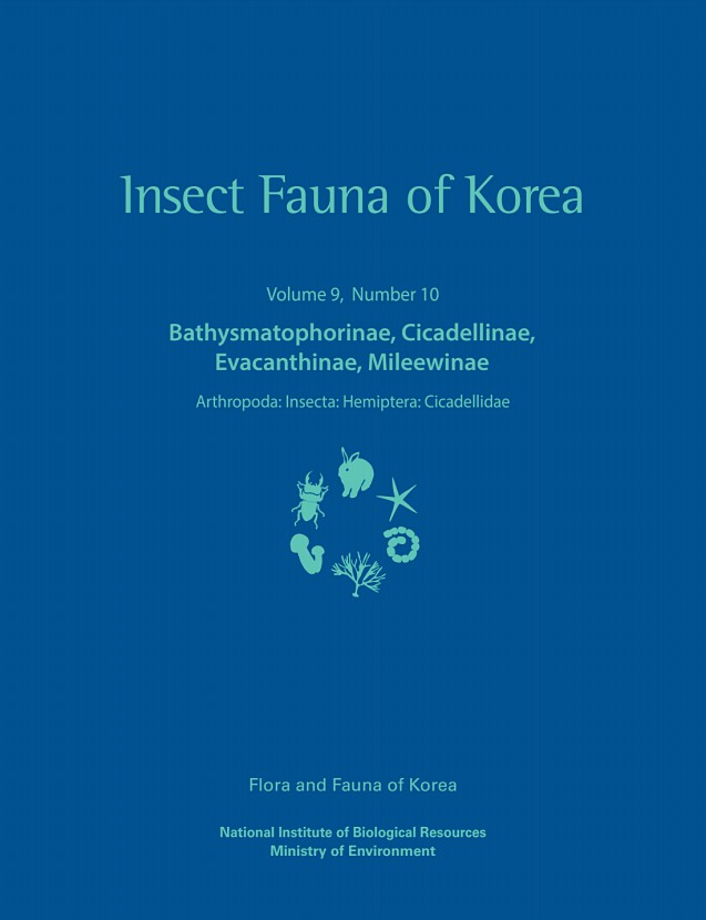 페이지