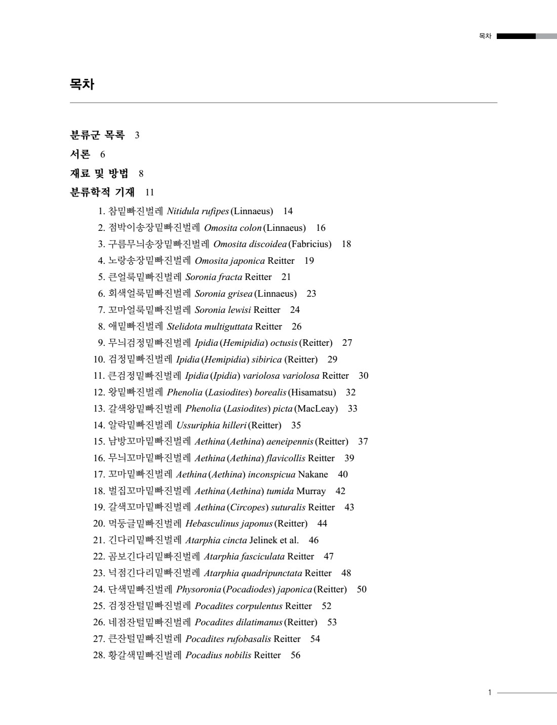 페이지