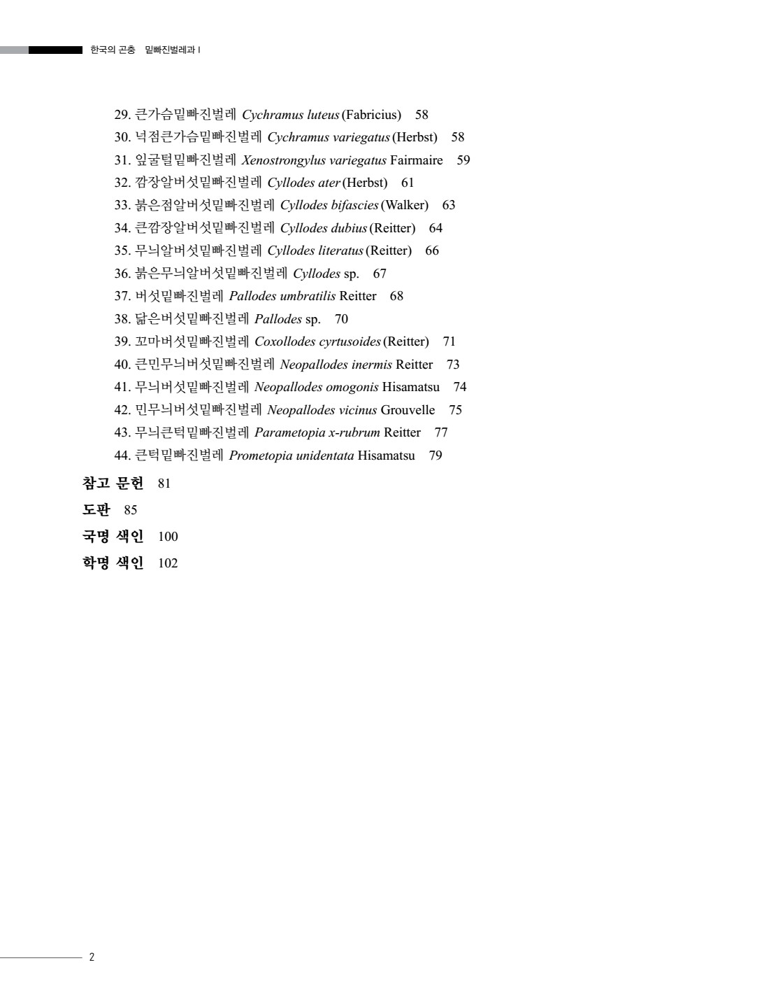 페이지