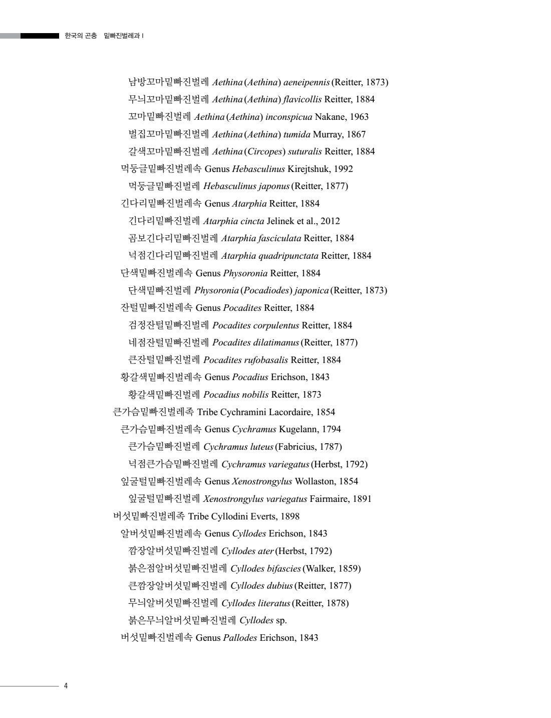 페이지