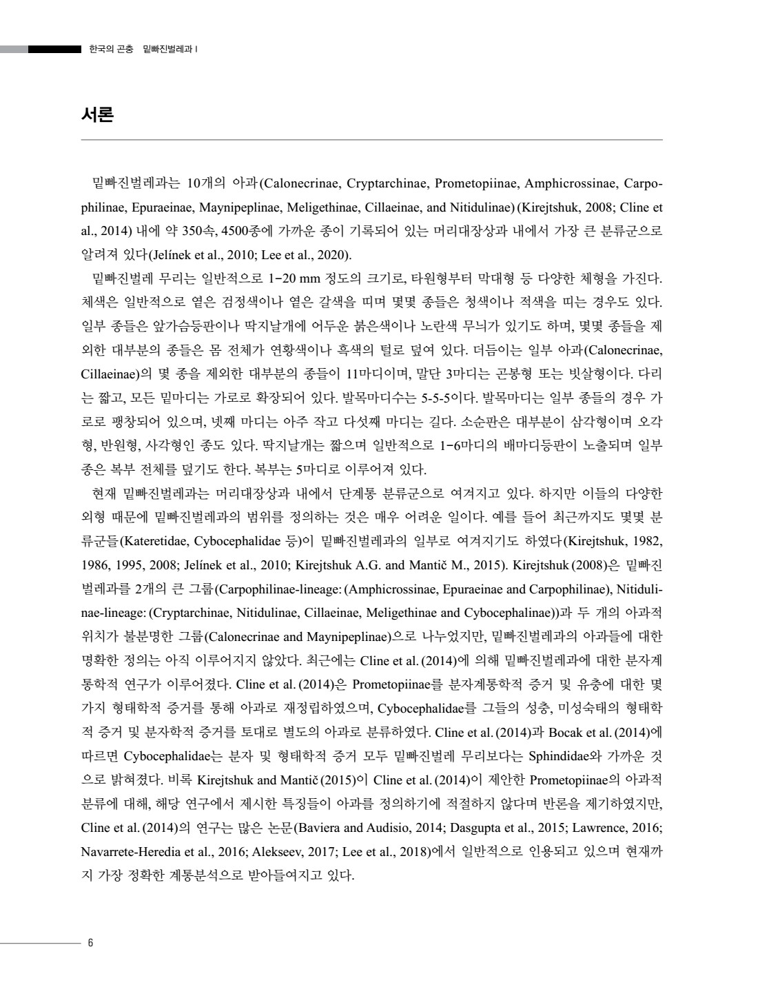 페이지