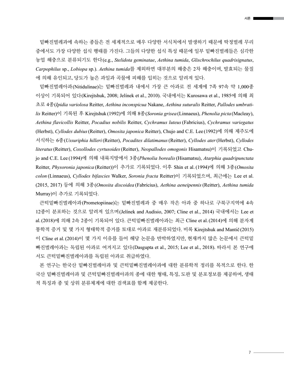 페이지