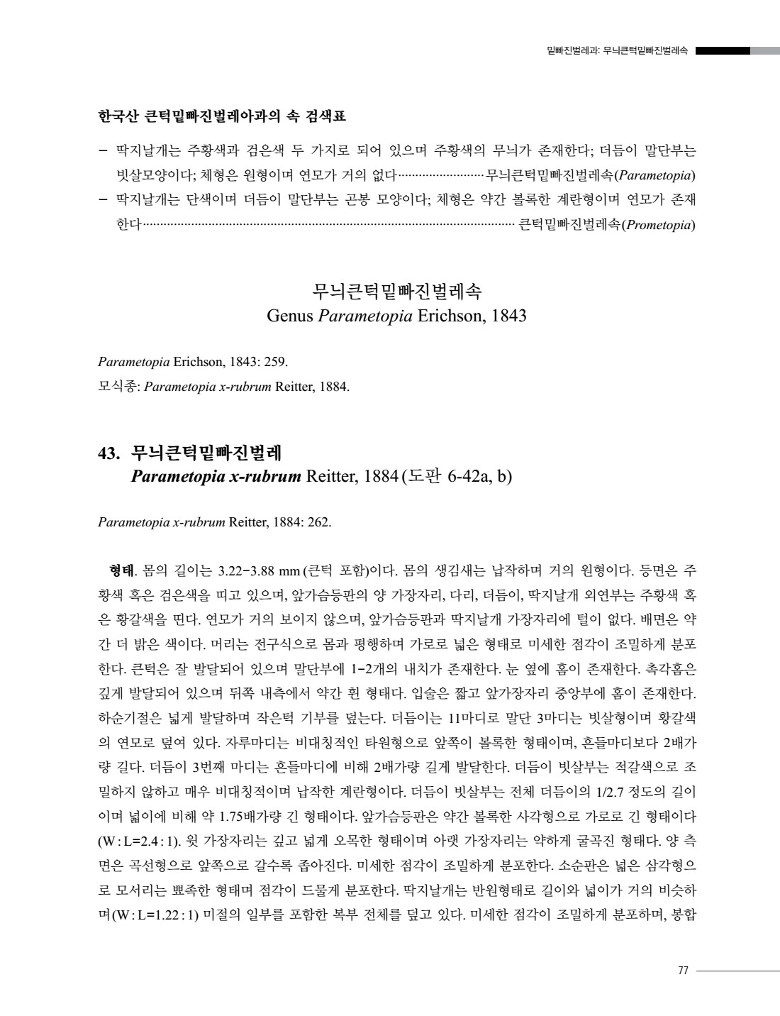 페이지