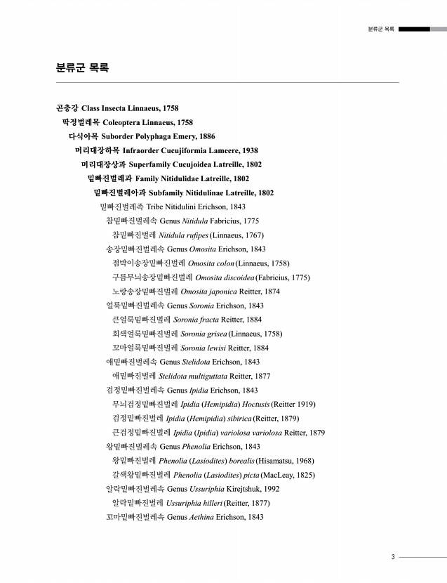 3페이지