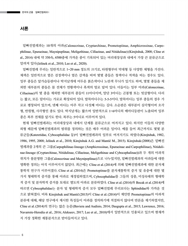 6페이지