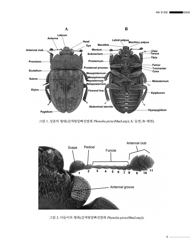 9페이지
