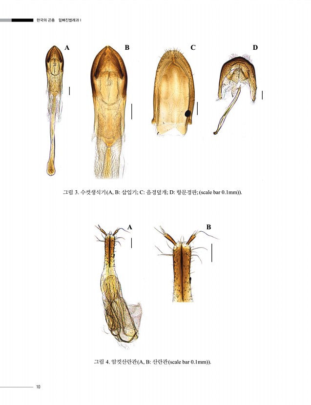 10페이지