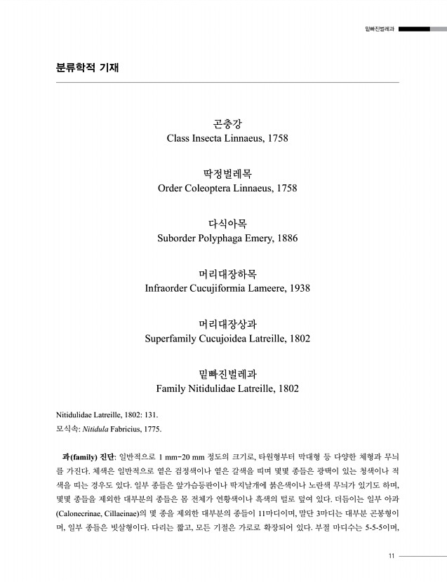 11페이지
