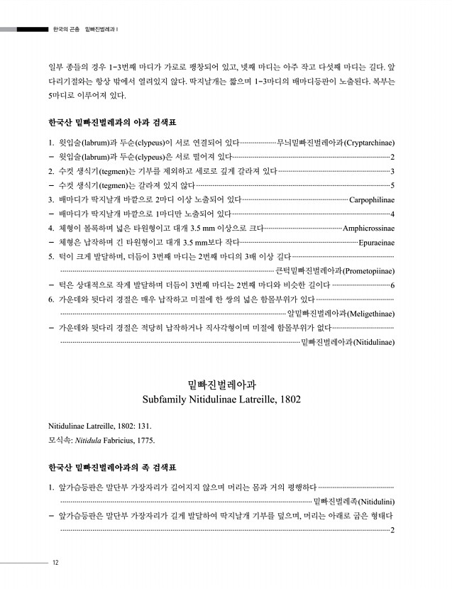 12페이지