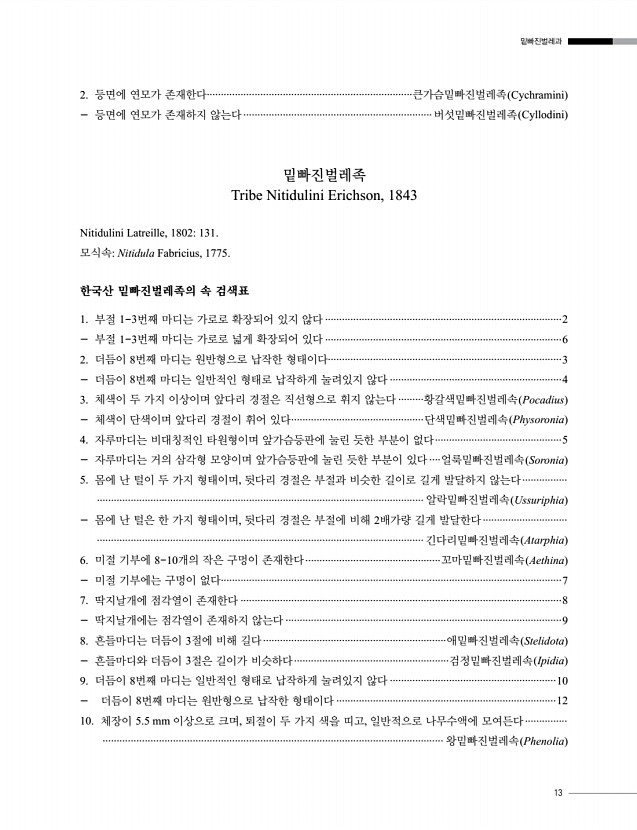 13페이지