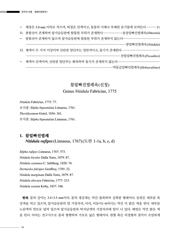 14페이지