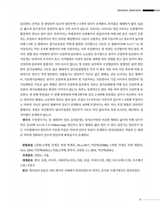 15페이지