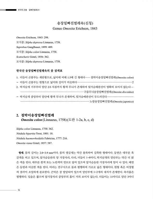 16페이지