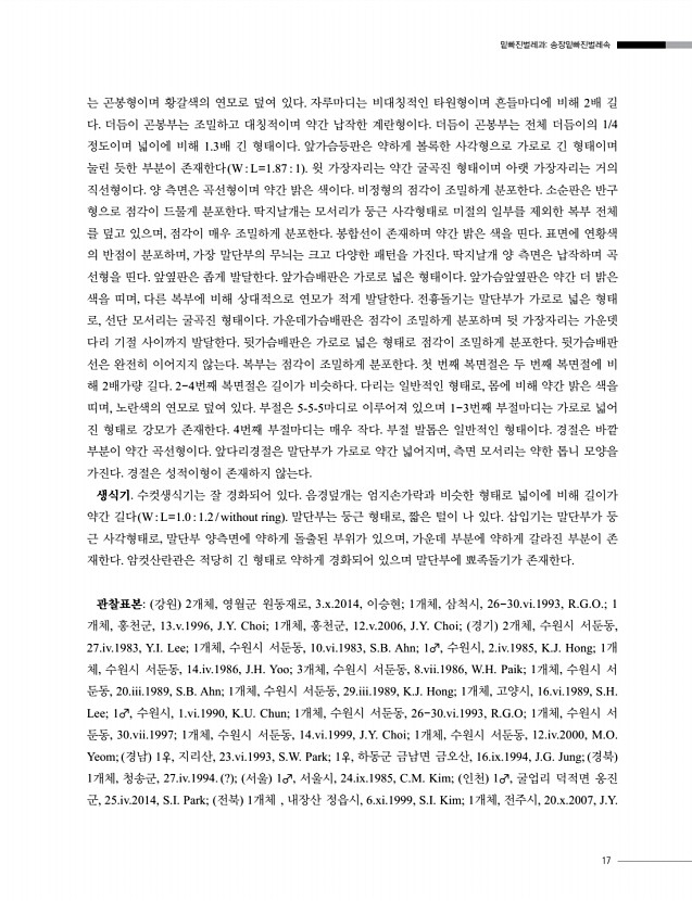 17페이지