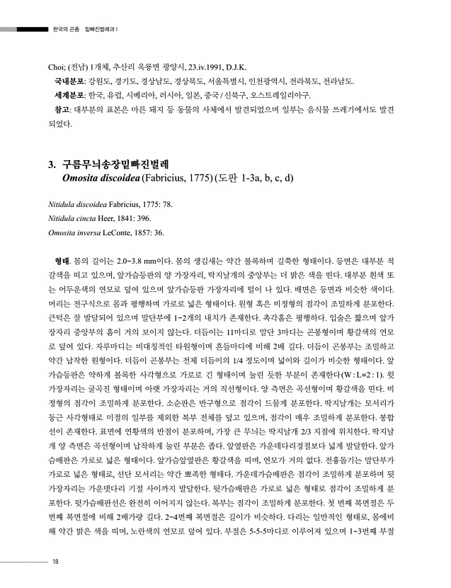 18페이지