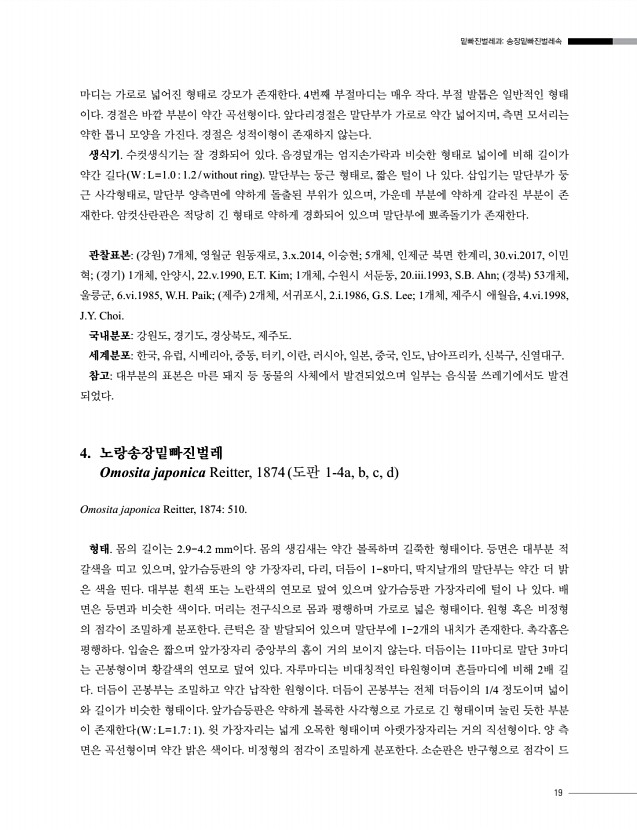19페이지