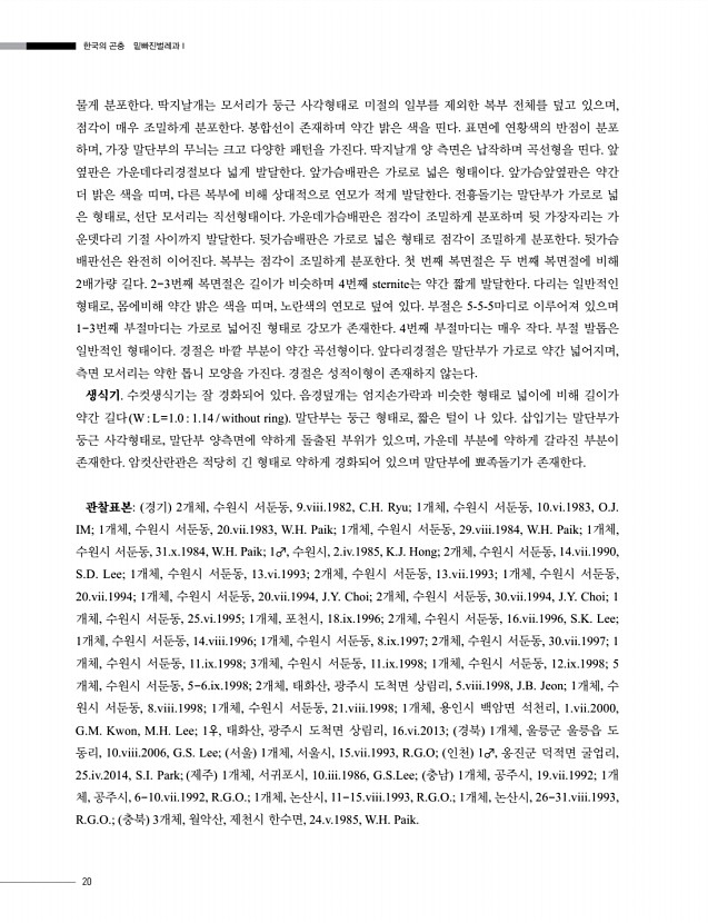 20페이지