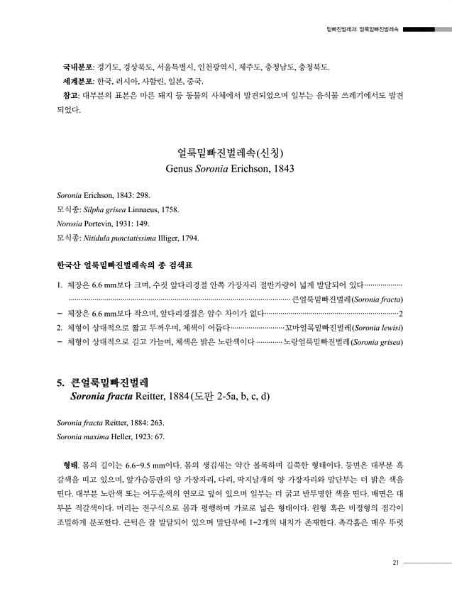 21페이지