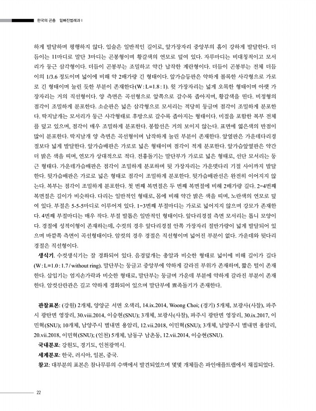 22페이지