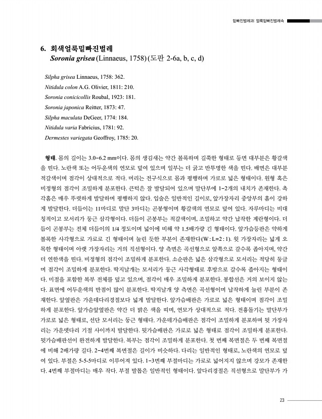 23페이지