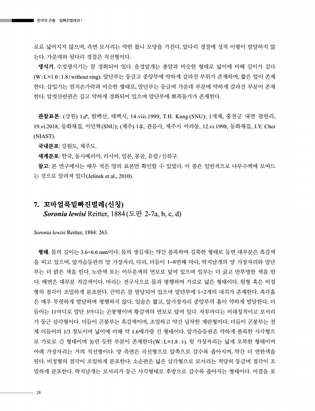 24페이지
