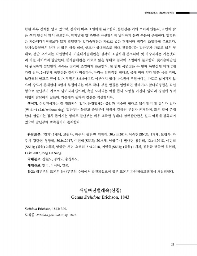 25페이지