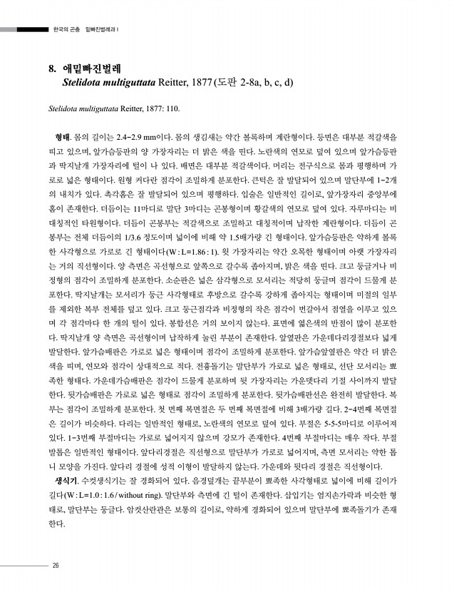 26페이지