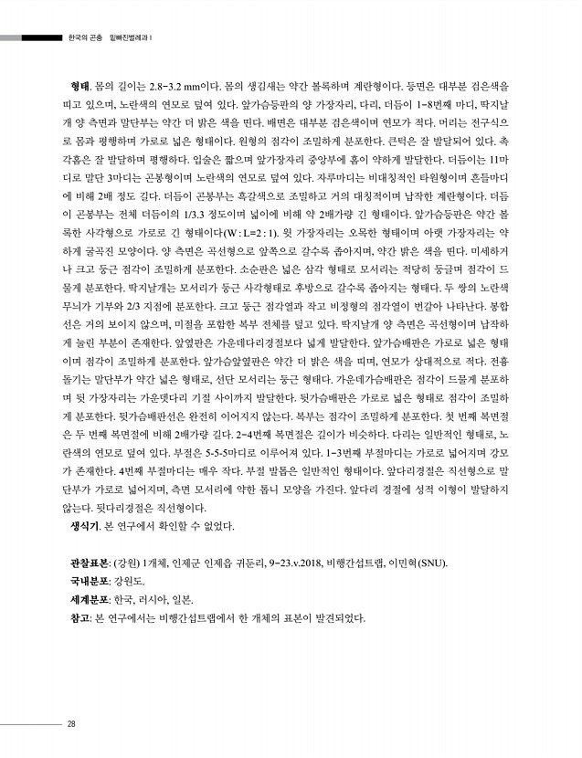 28페이지