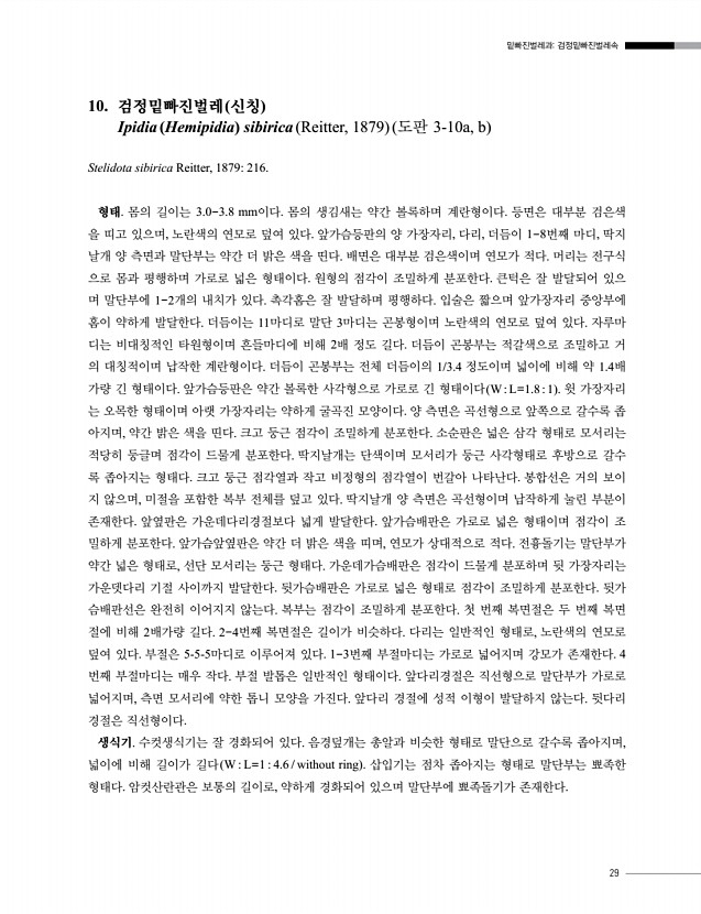 29페이지